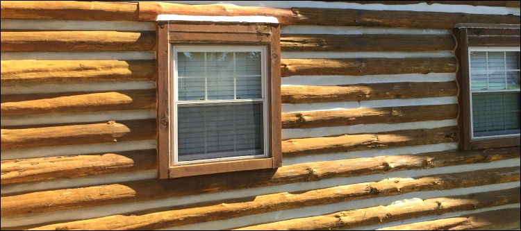 Log Home Whole Log Replacement  Tattnall County, Georgia